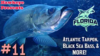 Ultimate Fishing Simulator S5 #11 - The NEW Florida DLC: Atlantic Tarpon, Black Sea Bass, & MORE!