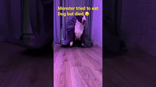 Monster tried to eat dog but died. Credits to @mistermainer #dog #meme #memes #shorts #monster