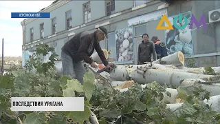 Сорванные крыши и поваленные деревья: в Херсонской области пронёсся ураган