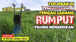 JANGAN PERNAH MASUK KE LADANG RUMPUT MEMATIKAN INI !? | Alur Cerita Film IN THE TALL GRASS (2019)