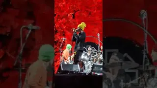 Red Hot Chili Peppers SIR PSYCHO SEXY Marlay Park Dublin 2022