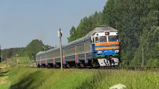 Дизель-поезд ДР1А-124 на о.п. Детковичи / DR1A-124 DMU at Dzietkavičy stop