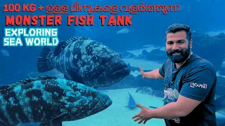 100 + ഉള്ള മീനുകളെ വളർത്തുന്ന MONSTER FISH TANK | Sea World അക്വാറിയം  മലയാളം