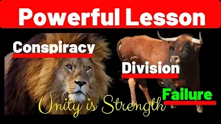 A story you must watch - United we stand, divided we fall - The lion and the four bulls story