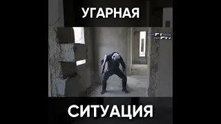 ТИПИЧНЫЙ СТАНДОФФ 2 - УГАРНАЯ СИТУАЦИЯ / Standoff 2 #shorts