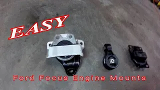 Ford Focus Vibration Fix - Engine Mount Replacement