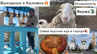 КОЛОМНА// ЧТО ПОСМОТРЕТЬ//ГДЕ ВКУСНО ПОЕСТЬ// ФЕРМА КРОКОДИЛОВ//ВЫХОДНЫЕ В КОЛОМНЕ