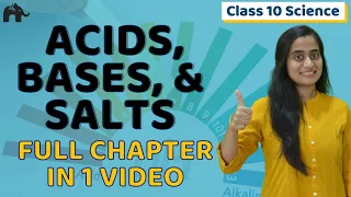 Acid Base and Salts Class 10 | NCERT Chapter 2 | One Shot | CBSE