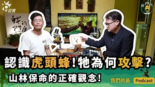 【認識虎頭蜂】拆解虎頭蜂為何攻擊模式｜山林保命的正確觀念 ｜feat.臺灣蜂類保育協會理事長 蔡明憲｜公視我們的島Podcast有影版@EP.72