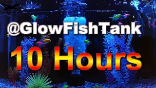 Glow Fish Tank (10 Hours) - ASMR, Meditation, Relaxation, Sleep, Reduce Stress (bubble sounds)