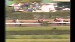 1994 Florida Derby - Holy Bull