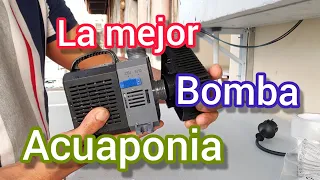 ✅ Bomba para acuaponia e hidroponia