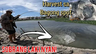 MAY GANITO PALANG SPOT SA LAGUNA LAKE ANG GANDA! CATMUNT w/ @kabiwastv2053