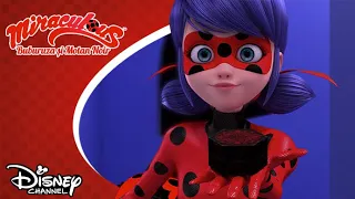 🐞 Miraculosul Calului | Miraculos: Buburuza și Motan Noir | Disney Channel România