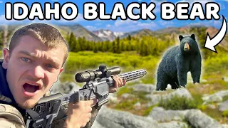 I Hunted BLACK BEARS in IDAHO for the First Time!