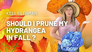 SHOULD I PRUNE MY HYDRANGEA IN FALL ?