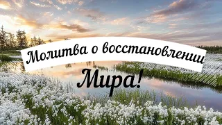 🙏🕊☦ Молитва о восстановлении мира! Молитва о мире! Текст в описании. Удели время, помолись! ☦🕊🙏