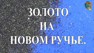 Нашел новый золотой и перспективный ручей. Мою лотком на ручье.