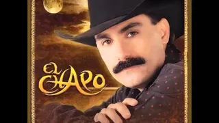 Si yo fuera ladron - El Chapo De Sinaloa