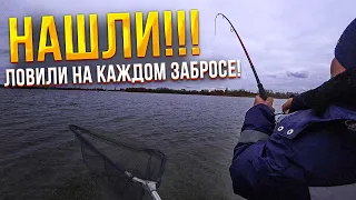 КЛЮЁТ НА ВСЁ КРОМЕ СИЛИКОНА! Рыбалка на Дону! Рыбалка на судака! РЫБАЛКА В КАЛАЧЕ!