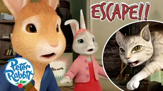 ​@OfficialPeterRabbit  - ​Quick Everyone Escape! 👀 | Danger Inside Mr. McGregor’s House | Cartoons for Kids