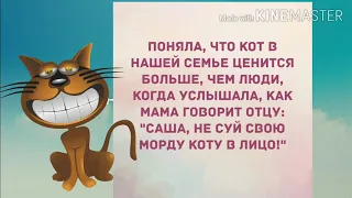 - Милочка, я здесь как женщина лежу. Смешной анекдот дня!