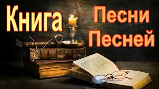 Книга  |  Песни Песней