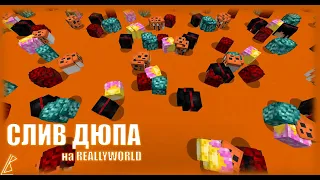 СЛИВ ДЮПА НА REALLYWORD ЧТОО | ДЮП РИЛИВОРЛД 1000 ТИГРИНОК | СЛИЛ ТИГРИНКУ НА ВАРП ПВП