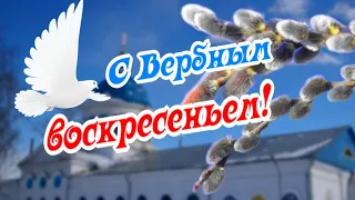 С Вербным воскресеньем! Тебе вербочка на счастье!