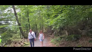 Wanderung- German Bad Wildbad - Schwarzwald
