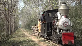 Steam of Changa Manga Forestry Railway in Pakistan(Nov.11) 2  チャンガマンガ森林鉄道（パキスタン）2019年11月　2
