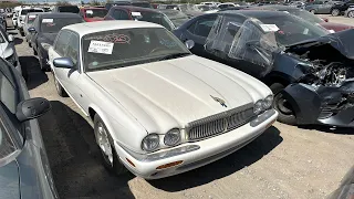 I Have to buy this Jaguar XJ8 Vanden Plas - Here's Why!