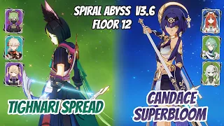 Tighnari Spread & Candace x Nilou Superbloom Phase 3 Abyss v3.6 Floor 12 (9 Stars) | Genshin Impact