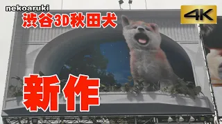 4K ネコ歩き～渋谷3D秋田犬新作・8画面フォロー～