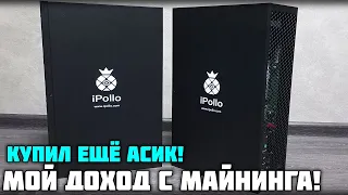 КУПИЛ ЕЩЁ АСИК IPOLLO! Мой доход с майнинга на асиках!