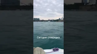 Анапа. Морская рыбалка. Смотреть до конца!)