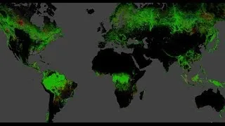 [LIVE] Mapping Global Forest Change: Discussion, Demonstration, live Q&A