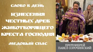 Проповедь протоиерея Павла Сорочинского. 14 августа 2020.