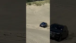 Muriwai beach dunes