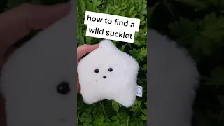 How to find a wild Sucklet