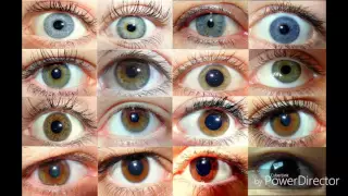 Cores de olhos todas as cores