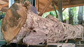 The amazing process of sawing selected teak wood at the Sawmill