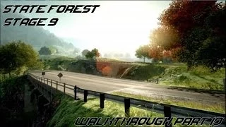 Need for Speed The Run: State Forest (Stage 9)