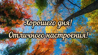 Хорошего дня. Желаю вам хорошего настроения и положительных эмоций 🌼🌼🌼