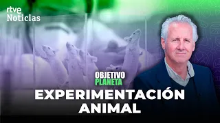 EXPERIMENTACIÓN ANIMAL: LORENZO MILÁ con MONTOLIÚ en el CENTRO NACIONAL de BIOTECNOLOGÍA