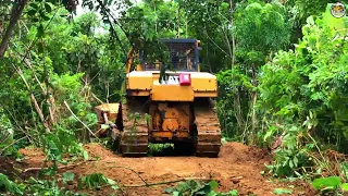 So Surprising! D6R XL Bulldozer Crushed By Tree While Building New Road