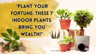 7 Indoor Plants That Bring Wealth and Good Luck for You #goodluckplant #indoorplant #greenhavengrows