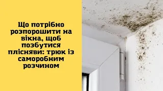 Що потрібно розпорошити на вікна, щоб позбутися плісняви: трюк із саморобним розчином.