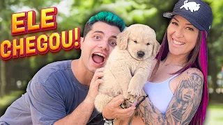 CHEGOU! NOSSO NOVO CACHORRINHO STEFAN! - Vida de Maloucos #2