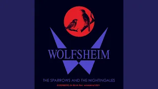 The Sparrows And The Nightingales (Radio Edit)